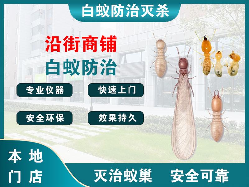 北仑区沿街商铺白蚁防治