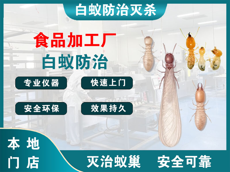 北仑区食品加工厂白蚁防治