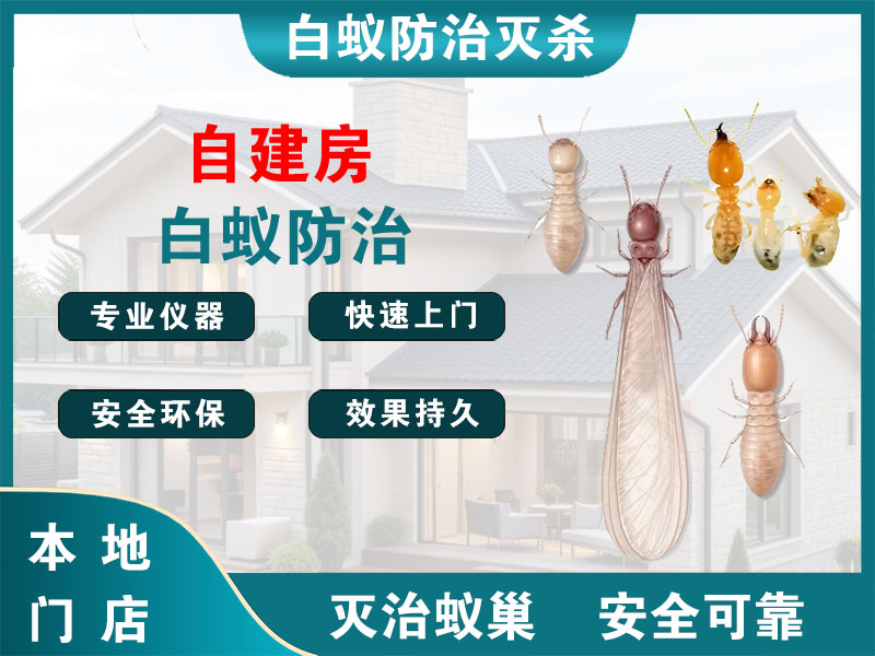 北仑区自建房白蚁防治